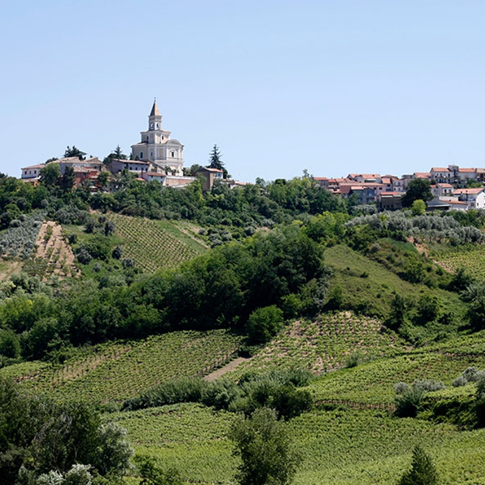 Cantina Tollo